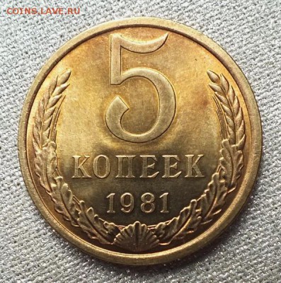 5 копеек 1981г UNC.Блеск- 20.06.19г - DSCF9568.JPG