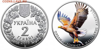 Юбилейка Украины - Украина, 2 гривны, 2019г., Орлан-белохвост