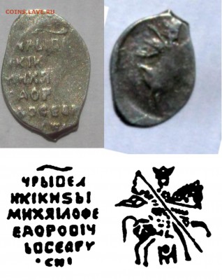 Две чешуйки на определение - 825.JPG