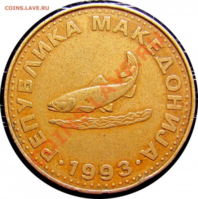 B15 Македония 2 денара (форель) 1993 до 08.07 в 22°° - B15 Macedonia 2 1993_1