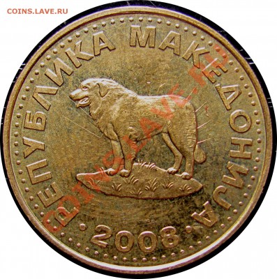 B16 Македония 1 денар (овчарка) 2008 до 08.07 в 22°° - B16 Macedonia 1 2008_1