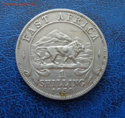 Британская Восточная Африка 1 шиллинг 1950 до 18.06 - DSC00839.JPG