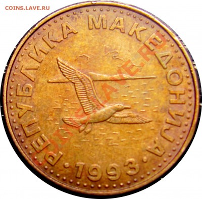 B18 Македония 50 дени (чайка) 1993 до 08.07 в 22°° - B18 Macedonia 50 deni 1993_2