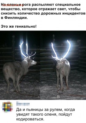 юмор - qZkNimkVQ6s