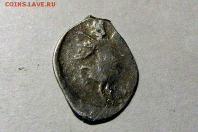 Две чешуйки на определение - IMG_2216.JPG