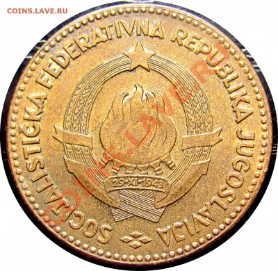 B21 Югославия 50 динаров 1963 KM# 41 до 08.07 в 22°° - B21 YUG 50 1963_2