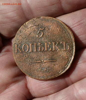 5 копеек 1837 см - DSC_3440