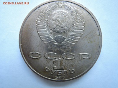 Л.Н.Толстой разновидность какая? - DSCN6049.JPG