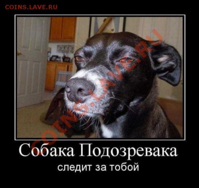 юмор - image_4dcd955dec380
