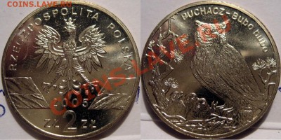 Польша 2zl. 2005г. Филин до 05.07.2011 22-00 ФВ. - Филин2005