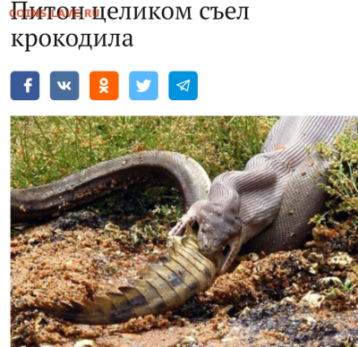 делает - прямо сейчас !!! - IMG_20190619_050836