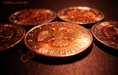 КРАСНАЯ КНИГА 1993 ГОД (С 500 руб.!) ДО 06.07. - DSC04938.JPG