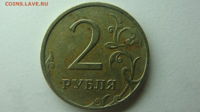 Вопросы по разновиднстям от сахарок - DSC08753.JPG