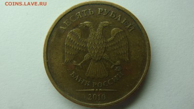 Вопросы по разновиднстям от сахарок - DSC08751.JPG