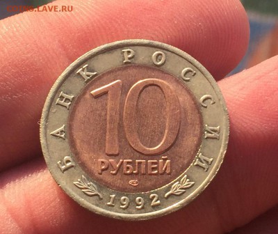 10 рублей 1992 КК Краснозобая Казарка до 23.06 - IMG_1467
