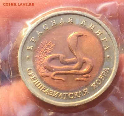 10 рублей 1992 КК Среднеазиатская Кобра до 23.06 - IMG_1473
