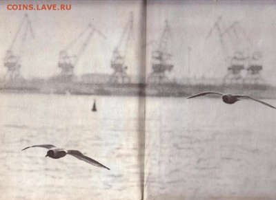 Край мой любимый 1970 г. до 26.06.19 в 23.00 - 003