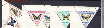Малуку Селатам бабочки 6м** до 25 06 - 32