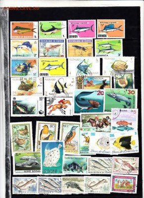 марки фауна 90шт до 25 06 - 21