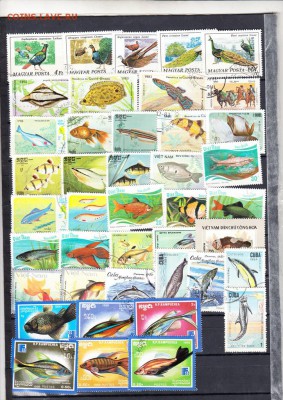 марки фауна 90шт до 25 06 - 21а