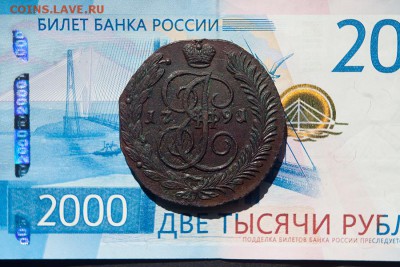 5 копеек 1791 года АМ - 5 копеек 1791-5