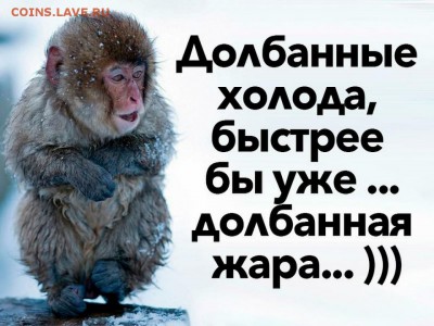 делает - прямо сейчас !!! - original