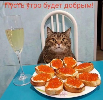 делает - прямо сейчас !!! - IMG-20190622-WA0000