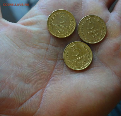 3 копейки 1929.1939.1956 сохран из сундука - DSC_1341.JPG