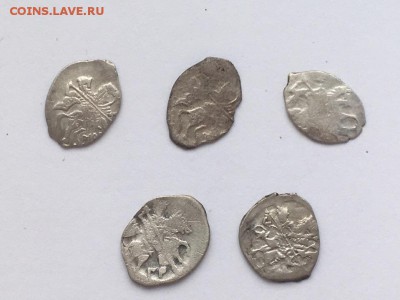 5 чешуек на определение. - 6SwdI85M1VE