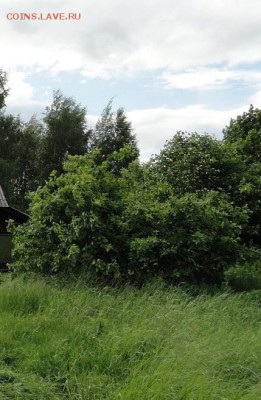 5 рублей 1899-99 гг 150+ штук - DSC04207 - копия.JPG