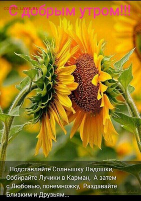 делает - прямо сейчас !!! - IMG-20190623-WA0000