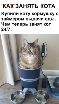 делает - прямо сейчас !!! - 7_0RTGAPYOY