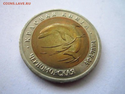 КК АФАЛИНА 50 руб 1993 до 30.06.19 в 22:30 - IMG_8505.JPG