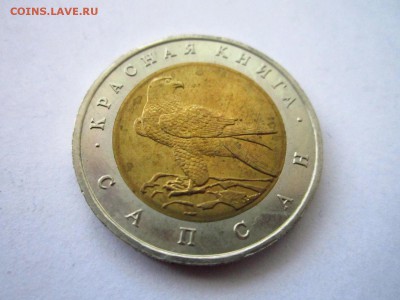 КК САПСАН 50 руб 1994 до 30.06.19 в 22:30 - IMG_8529.JPG