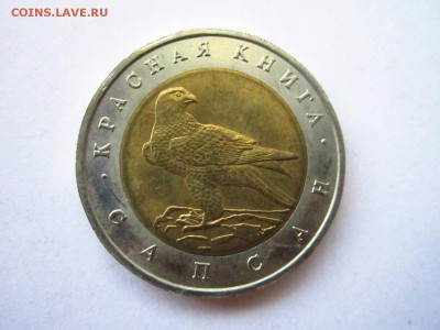 КК САПСАН 50 руб 1994 до 30.06.19 в 22:30 - IMG_8528.JPG