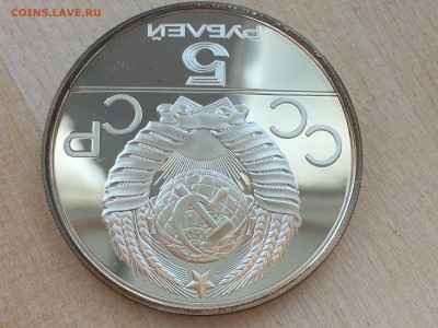 5р Тяжёлая атлетика ПРУФ до 29.06.2019 22:00 МСК - IMG_0351.JPG