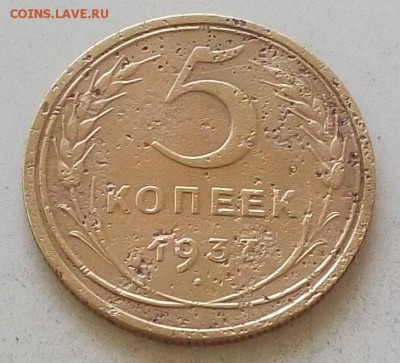 5 копеек 1937 года до 1.07.2019 в 23.00 по мск - 048.JPG