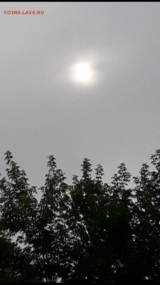 делает - прямо сейчас !!! - Screenshot_20190627-070216_Gallery