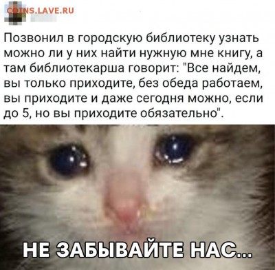 юмор - jy3-dHy1hsI