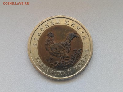 РОССИЯ,50 рублей 1993г(КК,Кавказский тетерев)до 30.06.2019 - IMG_20190627_124240