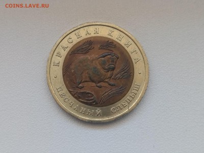 РОССИЯ,50 рублей 1994г(КК,Песчаный слепыш)до 30.06.2019 - IMG_20190627_124325