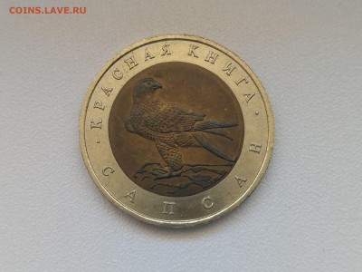 РОССИЯ,50 рублей 1994г(КК,Сапсан)до 30.06.2019 - IMG_20190627_124452