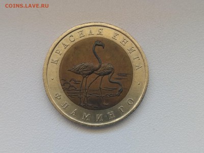РОССИЯ,50 рублей 1994г(КК,Фламинго)до 30.06.2019 - IMG_20190627_124512