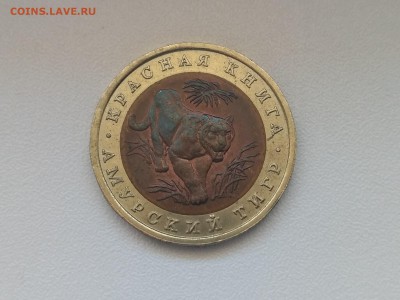 РОССИЯ,10 рублей 1992г(КК,Амурский тигр)до 30.06.2019г - IMG_20190627_124652