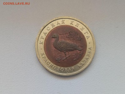 СССР,10 рублей 1992г(КК,Краснозобая казарка)до30.06.2019 - IMG_20190627_124616