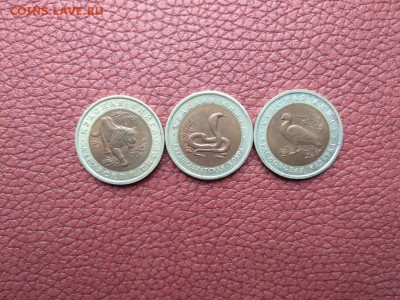 Красная Книга 1992 до 01.07. до 22-00 МСК - IMG_20190624_084733