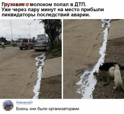юмор - qVcEDF9t3kw