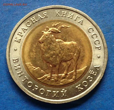 5 РУБЛЕЙ 1991 ВИНТОРОГИЙ КОЗЁЛ до 04.07.19 22:10 МСК - DSC_5825.JPG