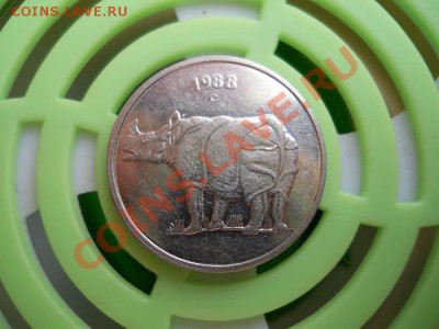 Индия. 25 Palse 1988 "Носорог". Окончание в 21.15, 9.07.11. - 8.JPG