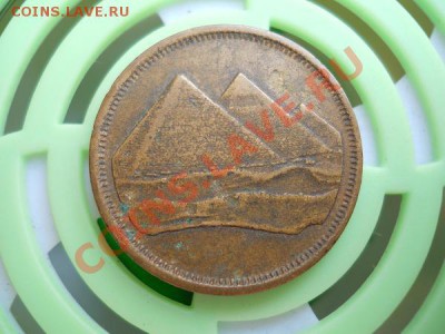 Монета Египта. Окончание в 21.25, 9.07.2011. - 11.JPG